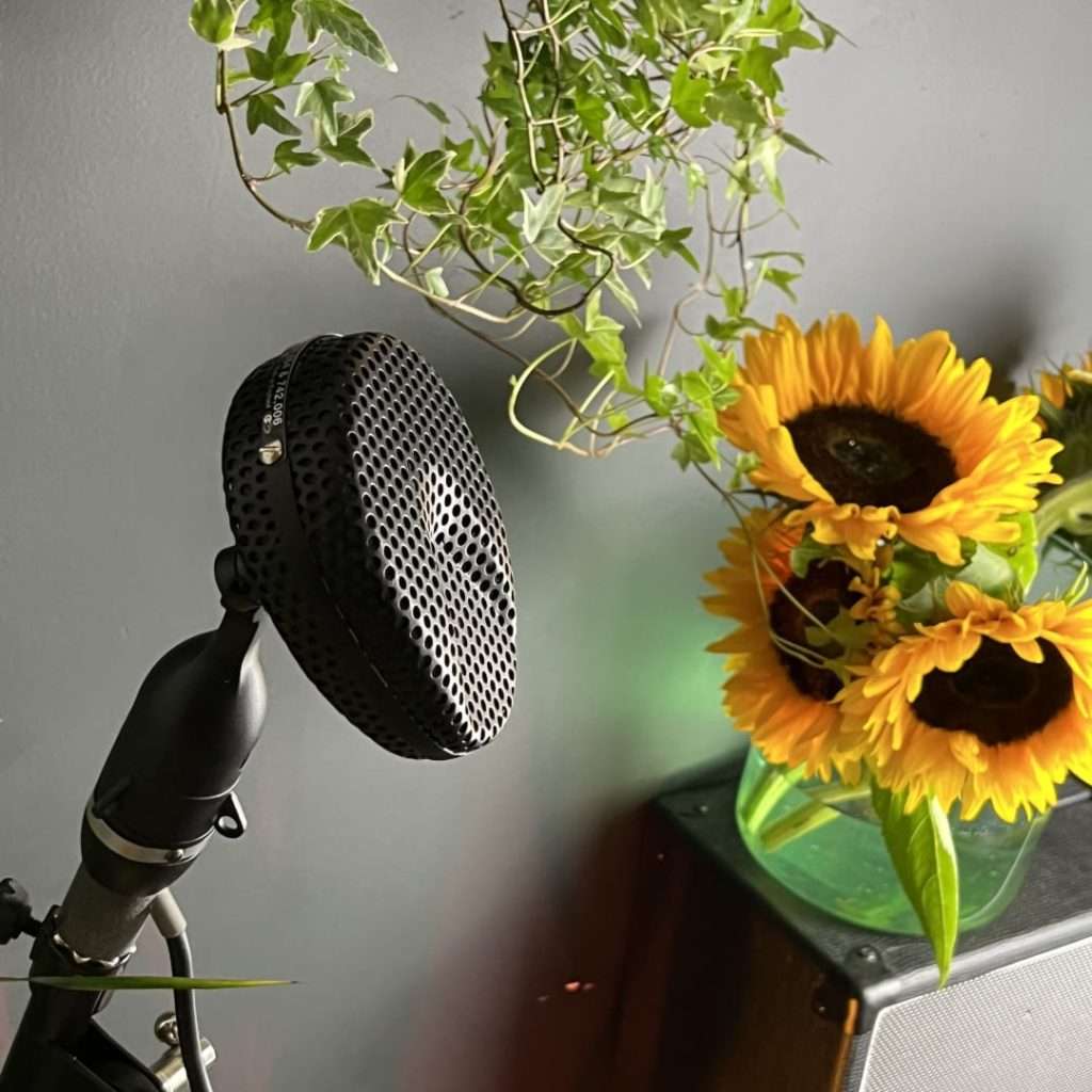Microphone on a stand with sunflowers and foliage in the background, alongside a vintage amplifier in a creative studio setting.